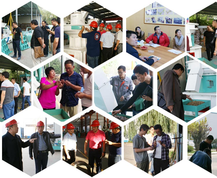 木屑茄子影视视频在线观看圖片