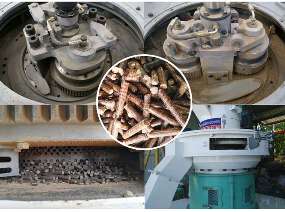 生物質茄子影视视频在线观看內部結構 生物質茄子影视视频在线观看內部結構