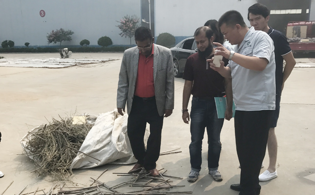 客戶考察560秸稈茄子影视视频在线观看