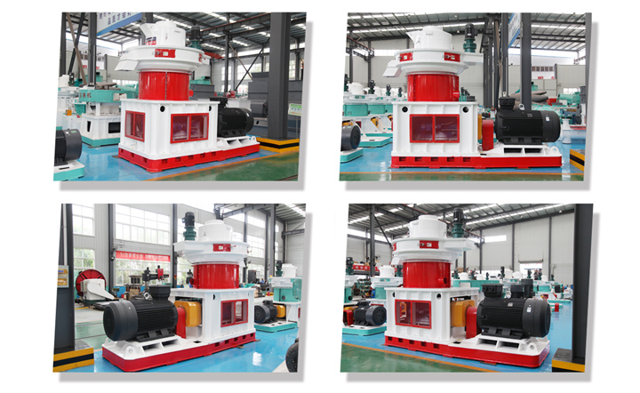 850生物質茄子影视视频在线观看展示圖