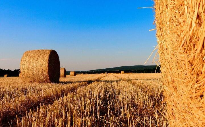 茄子影视视频在线观看2019秸稈綜合利用 茄子影视视频在线观看2019秸稈綜合利用