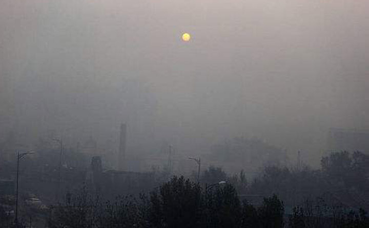 生物質茄子影视视频在线观看械