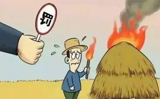 禁燒秸稈 生物質茄子影视视频在线观看械