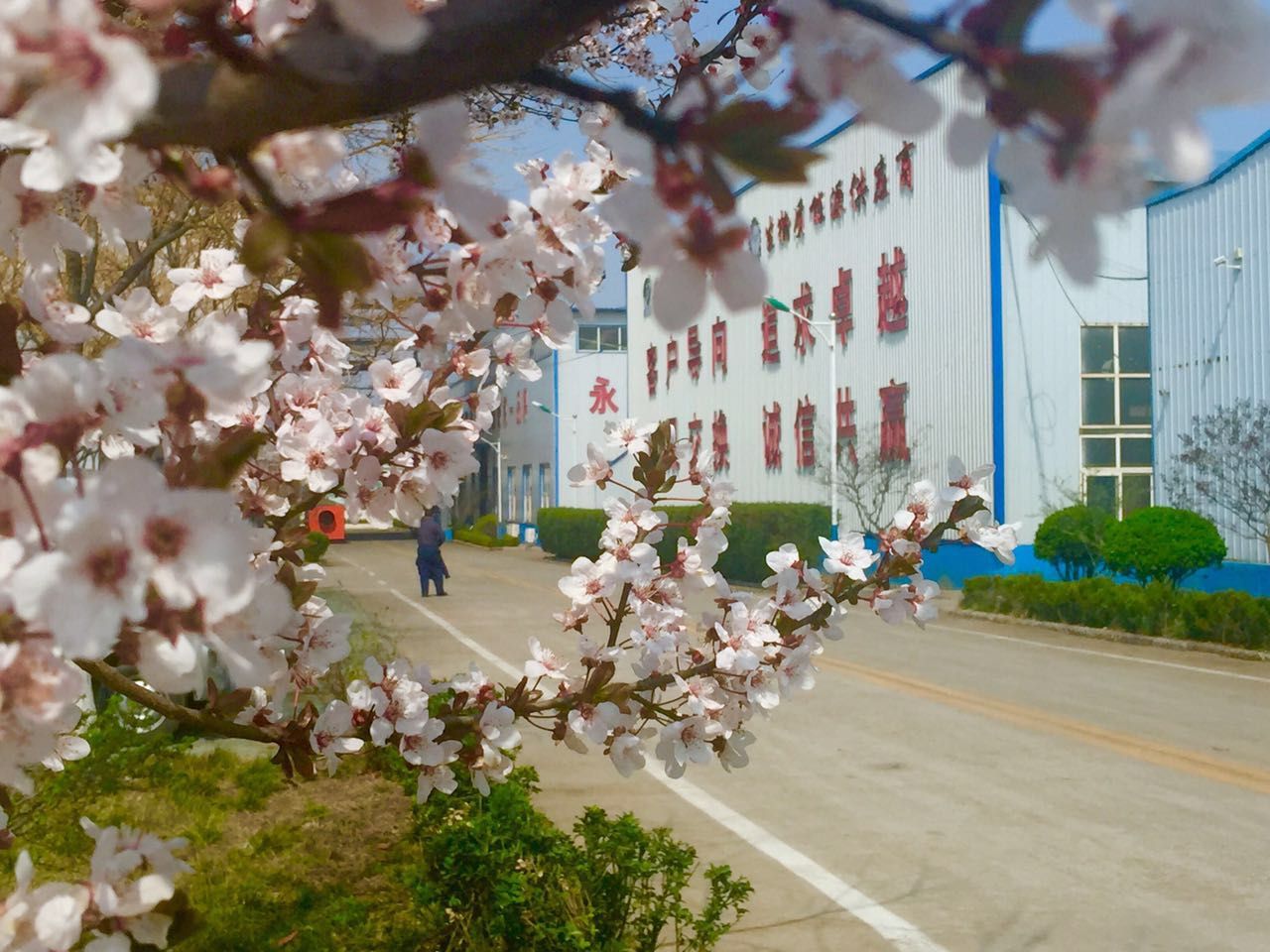 生物質茄子影视视频在线观看械