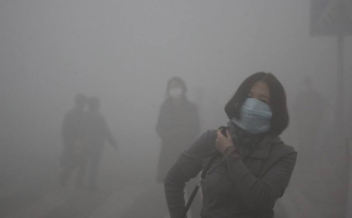 生物質茄子影视视频在线观看械