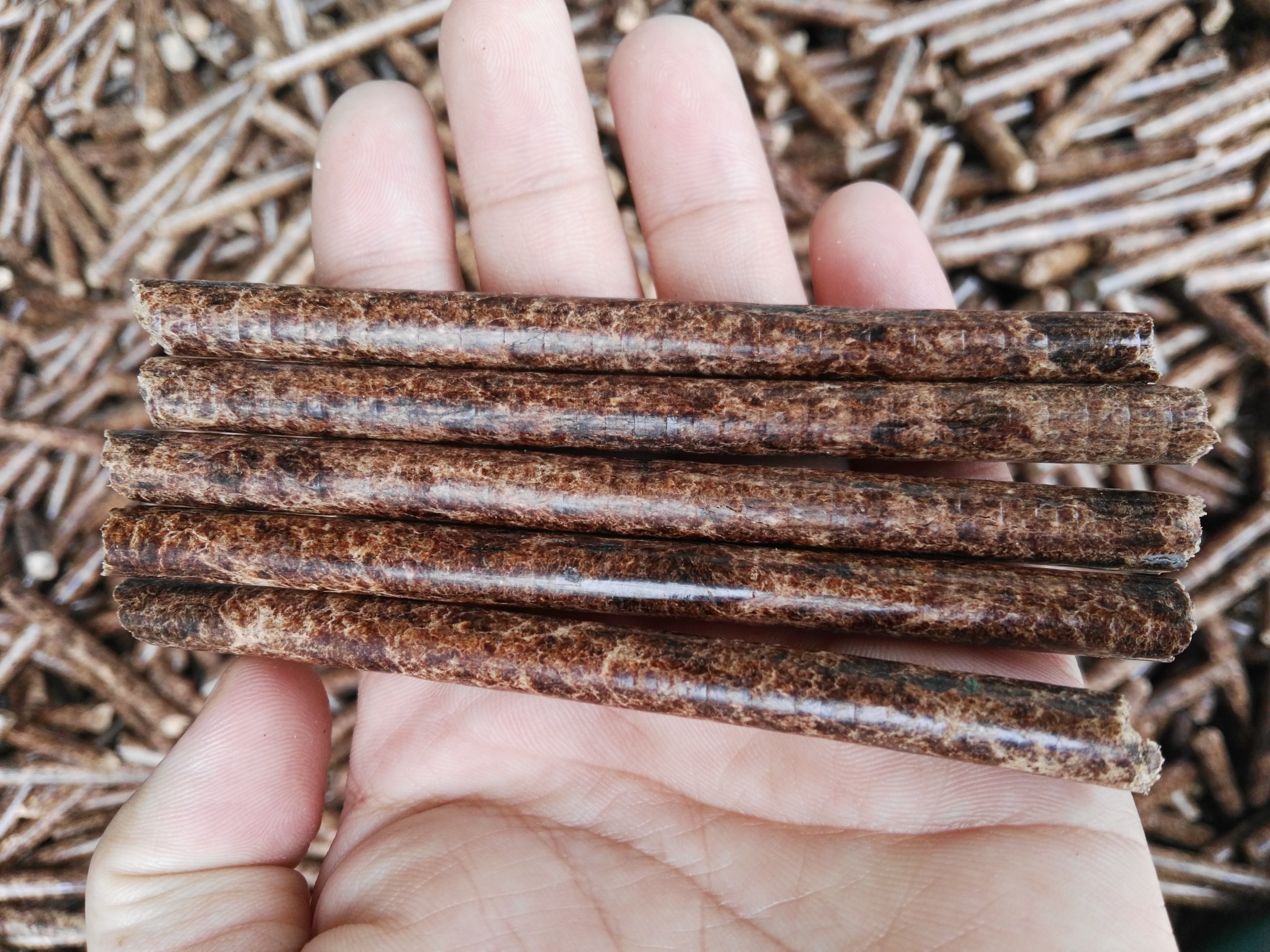 生物質顆粒 生物質茄子影视视频在线观看械