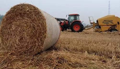 生物質資源豐富 生物質茄子影视视频在线观看械