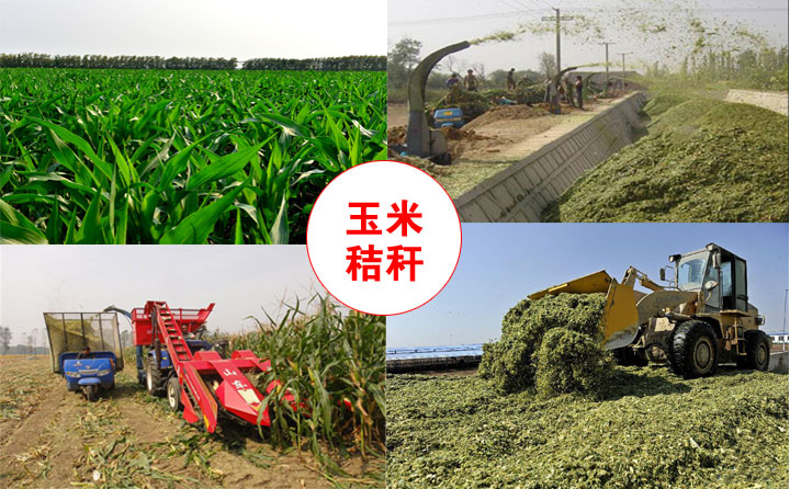 生物質資源 生物質茄子影视视频在线观看械