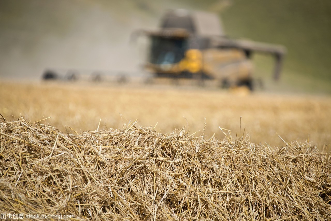秸稈資源豐富 生物質茄子影视视频在线观看械