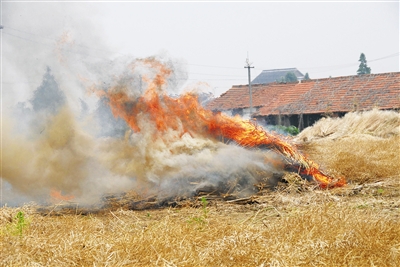 生物質茄子影视视频在线观看械