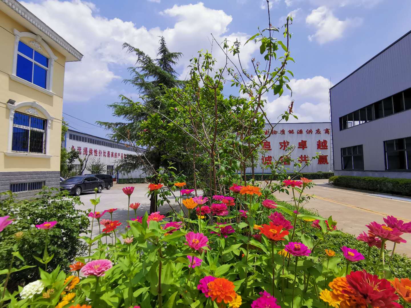 山東木屑茄子影视视频在线观看廠家 山東木屑茄子影视视频在线观看廠家