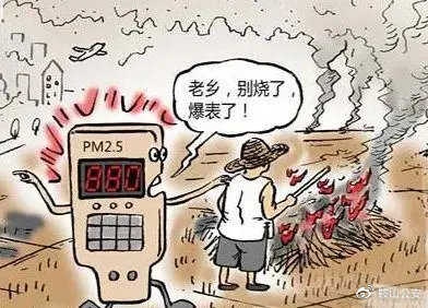 秸稈焚燒導致環境汙染 生物質茄子影视视频在线观看械