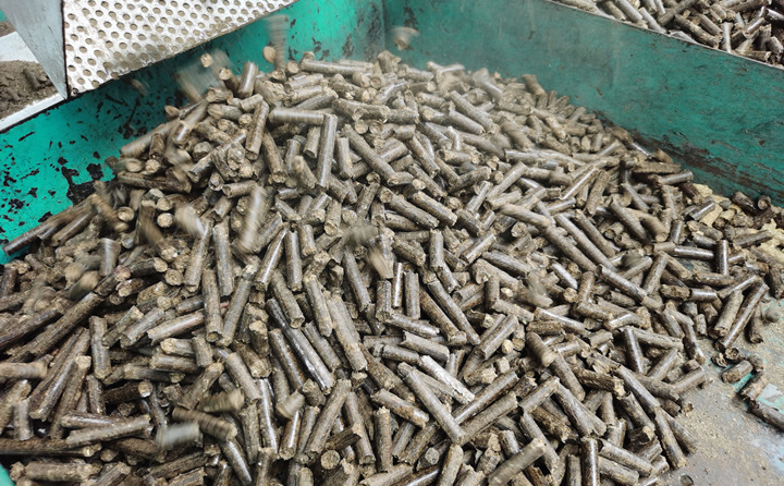 生物質茄子影视视频在线观看燃料