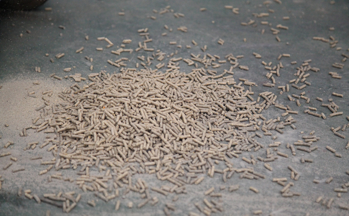 日照生物質茄子影视视频在线观看的顆粒 日照生物質茄子影视视频在线观看的顆粒