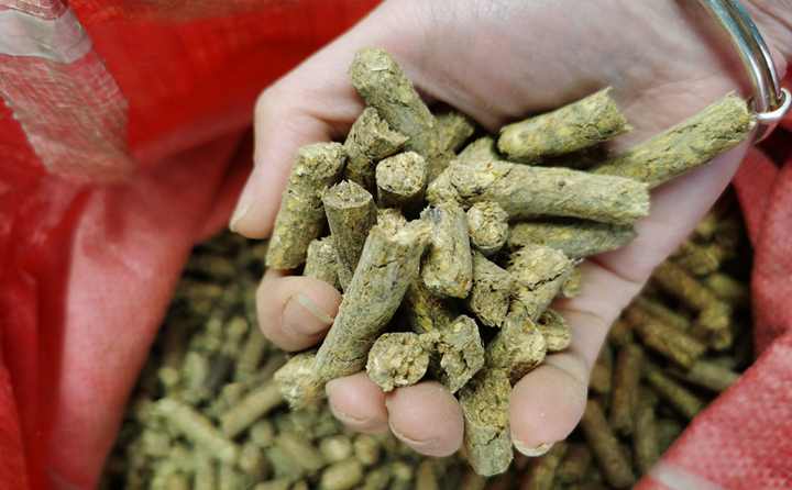 生物質顆粒燃料 生物質顆粒燃料