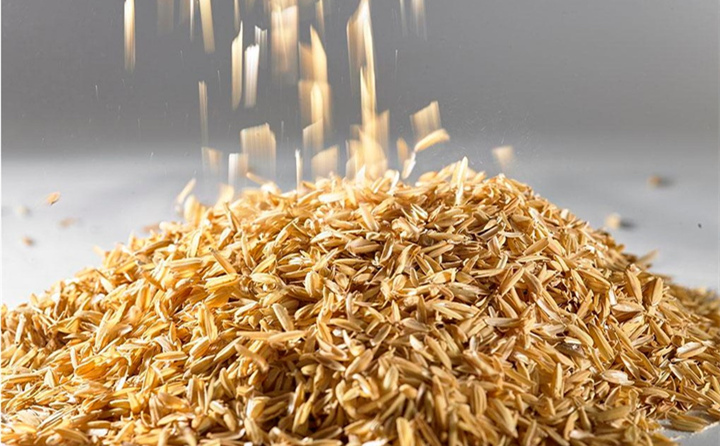 我，是廣東生物質燃料公司料場裏的一個普通稻殼