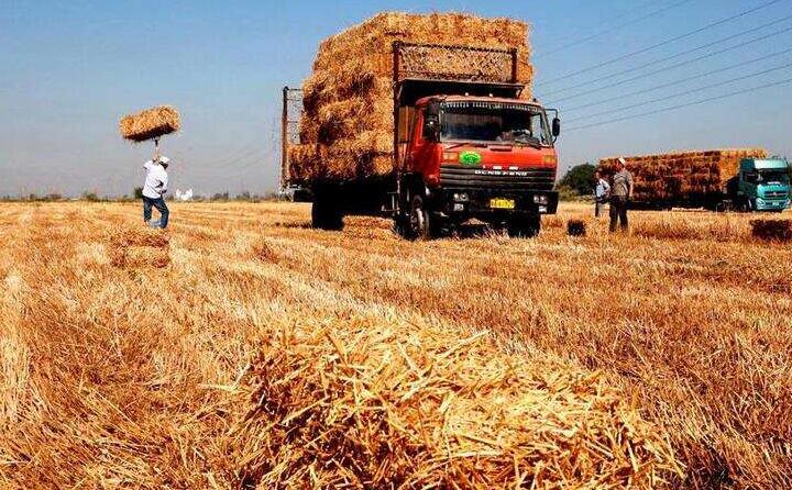 一台台秸稈打捆機正在田地裏作業，一大片散落在地裏的葵花、玉米秸稈被打包成一個個方塊