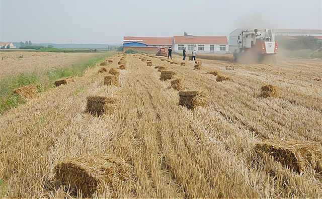 生物質作為一種含碳、固體形態的可再生能源，其熱轉化利用技術、設備與煤炭具有相似性，且生物質氮、硫含量低，汙染物排放要遠低於燃煤。因此，大力發展生物質燃料鍋爐將有助於緩解燃煤帶來的環境汙染問題