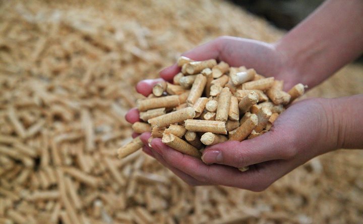 生物質茄子影视视频在线观看鬆木顆粒 生物質茄子影视视频在线观看鬆木顆粒