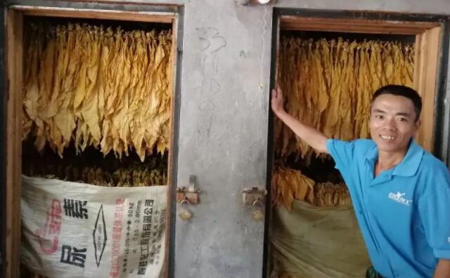 生物質茄子影视视频在线观看顆粒燃料烤煙