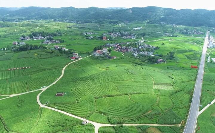 福泉：生物質顆粒智能化烘烤 助力烤煙產業提質增效