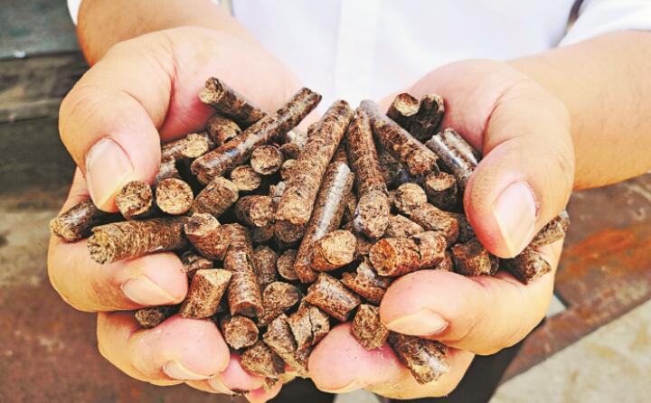 生物質茄子影视视频在线观看的顆粒燃料 生物質茄子影视视频在线观看的顆粒燃料