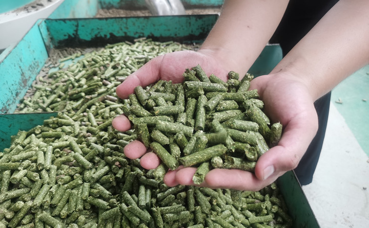 生物質顆粒燃料 生物質顆粒燃料