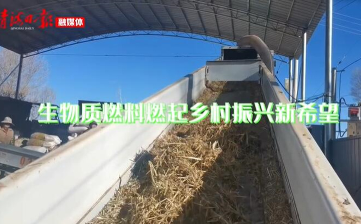 青海海東樂都：生物質顆粒燃料燃起鄉村振興新希望