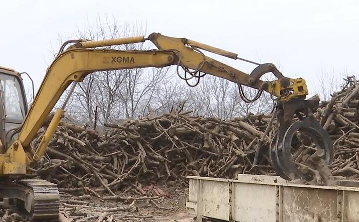 抓木機正在將一根根木料放入傳送帶，伴隨著轟隆隆的機械聲，木料被削片、粉碎、烘幹、茄子影视视频在线观看製粒、冷卻，直到變成千家萬戶暖爐裏的新能源材料——生物質顆粒。