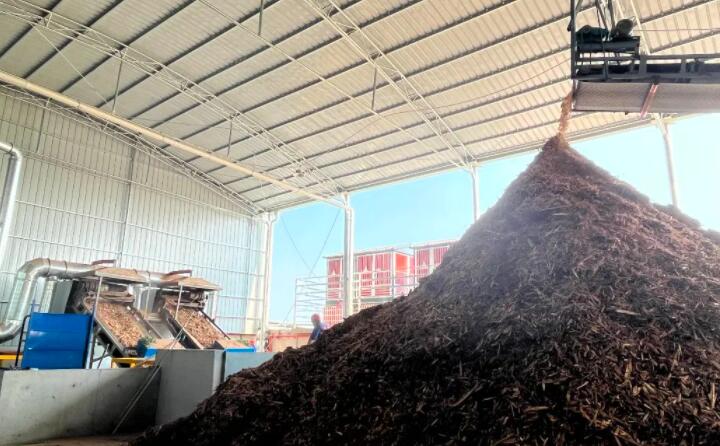 伴著轟隆隆的機器聲，食指長短的生物質顆粒就被生產出來，從傳輸帶上傾瀉而下，在成品區堆成小山丘。