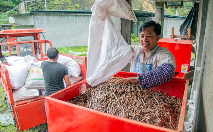 生物質茄子影视视频在线观看加工的生物質顆粒燃料 生物質茄子影视视频在线观看加工的生物質顆粒燃料
