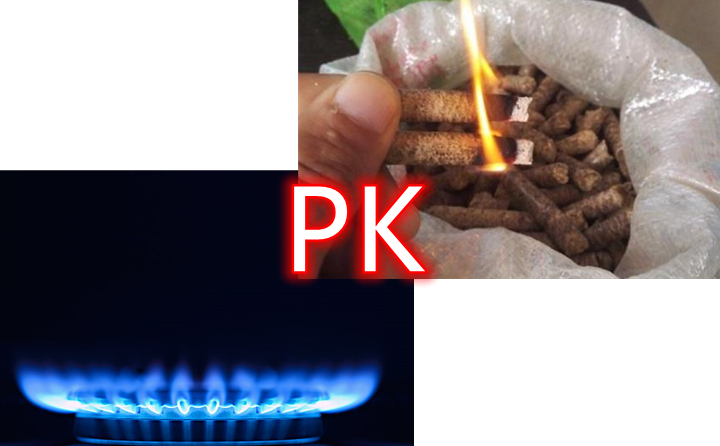 濱州：采暖季用生物質取暖每戶最高補貼300元