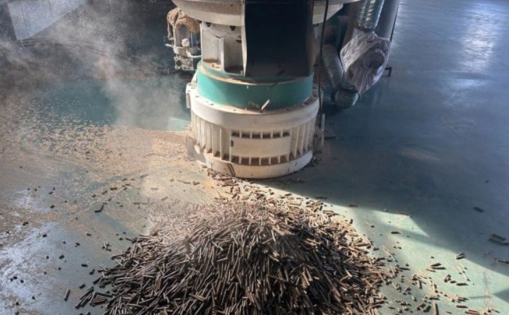 黑龍江鶴立林業局：生物質顆粒產業點燃綠色發展新引擎