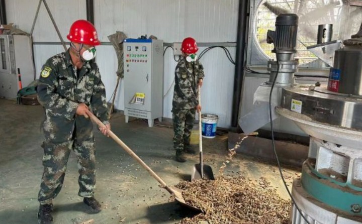 黑龍江鶴立林業局：生物質顆粒產業點燃綠色發展新引擎