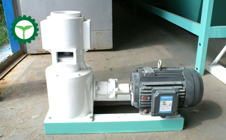 小型家用飼料茄子影视视频在线观看