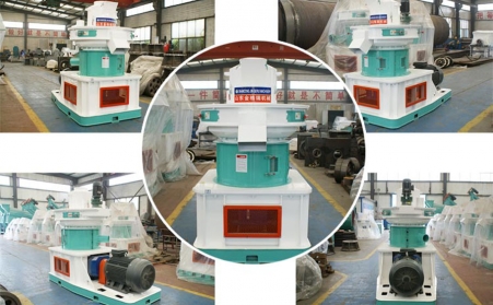 生物質木屑茄子影视视频在线观看