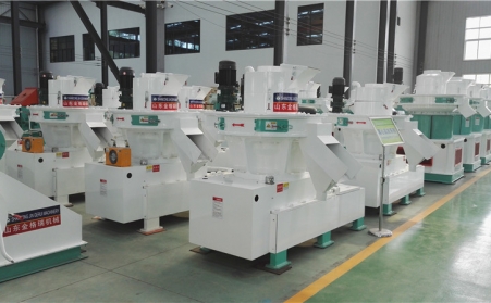 雙山街道辦領導春節期間到公司走訪茄子视频免费观看茄子影视视频在线观看