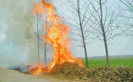 秸稈千萬別燒了，還有這些用途！