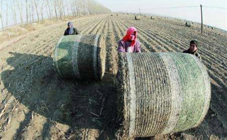 生物質茄子影视视频在线观看設備從不挑食！