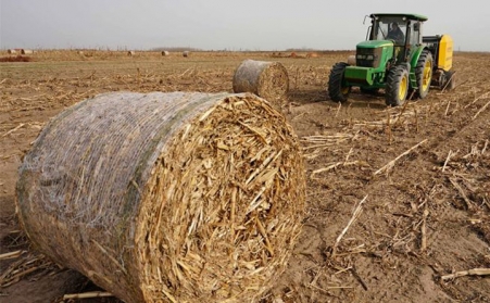 生物質茄子影视视频在线观看的發展大前景，你知道嗎？