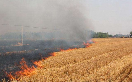 農作物後的秸稈不能燒，用了秸稈茄子影视视频在线观看能變錢！