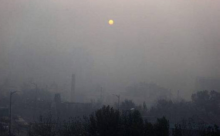 生物質茄子影视视频在线观看的出現，解決了廢棄物處理難的問題