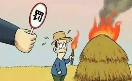 秸稈禁燒怎麽辦？秸稈茄子影视视频在线观看幫您變廢為寶！