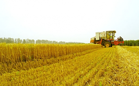 發展生物質茄子影视视频在线观看，作用良多