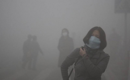 玉米秸稈茄子影视视频在线观看如何使秸稈變“寶貝”？