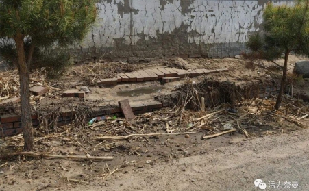 生物質茄子影视视频在线观看的發展，對處理農村垃圾具有重要意義