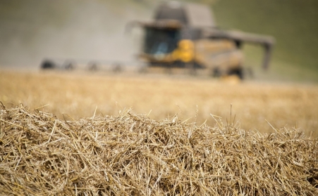 看這裏！了解木屑茄子影视视频在线观看如何利用廢棄物