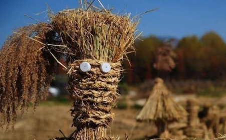 生物質燃料茄子影视视频在线观看型號的區別及特點