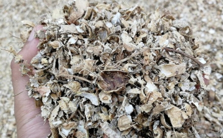 為什麽有人願意花錢買生物質燃料茄子影视视频在线观看來加工稻殼花生殼呢？有必要嗎？