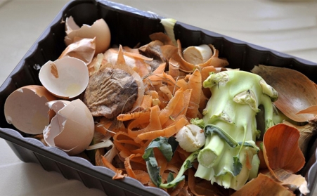 外國能源部科學家們正在將食物垃圾用生物質茄子影视视频在线观看轉化為清潔可再生的燃料